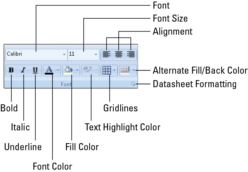 Changing the datasheet’s font directly from the ribbon. Choose font type style, size, and other font attributes for the entire datasheet.